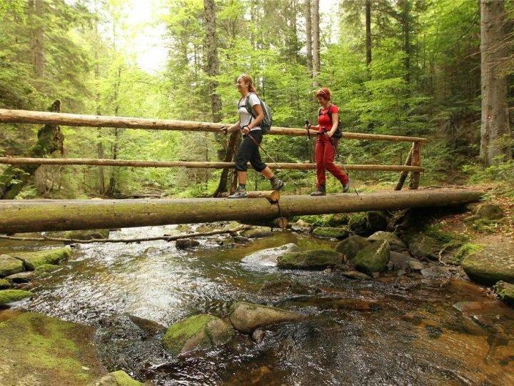 Bolfenk B6 Hočko Pohorje Exterior foto